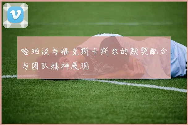 哈珀谈与福克斯卡斯尔的默契配合与团队精神展现