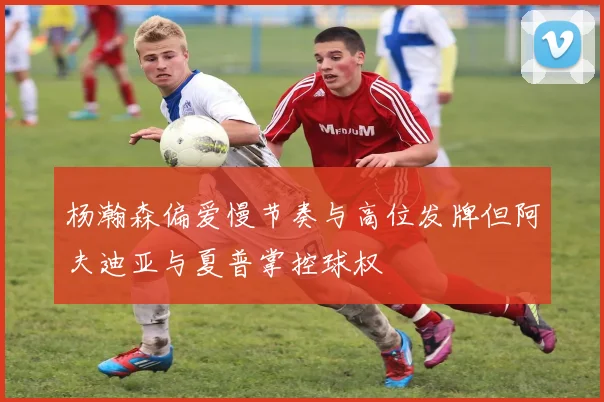 杨瀚森偏爱慢节奏与高位发牌但阿夫迪亚与夏普掌控球权